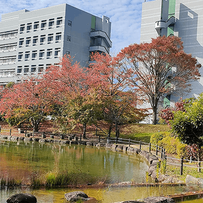 バイオバイオX記事画像