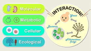微生物インタラクションイメージ図