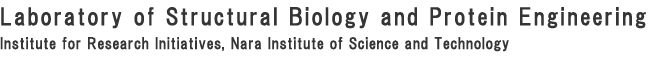 Structural Biology and Protein Engineering Laboratory