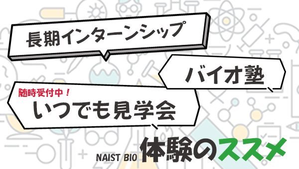 いつでも見学会イメージ図