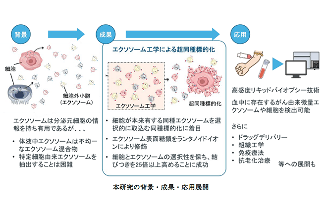 エクソソーム工学で細胞機能を飛躍的に増幅
――がん検出、ドラッグデリバリー、抗老化への展開に期待――