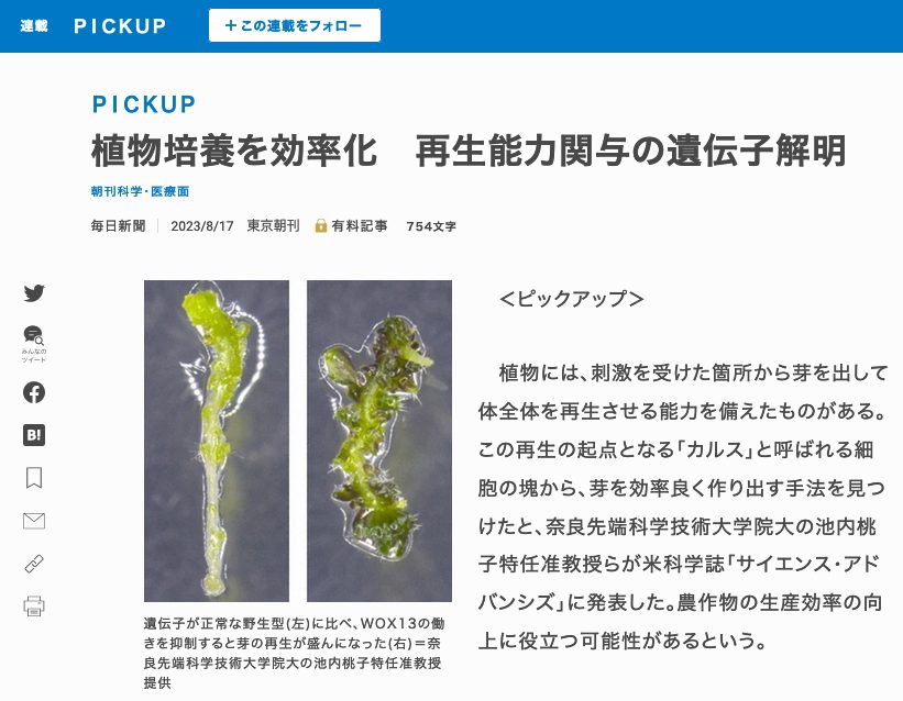 毎日新聞の朝刊で紹介されました！