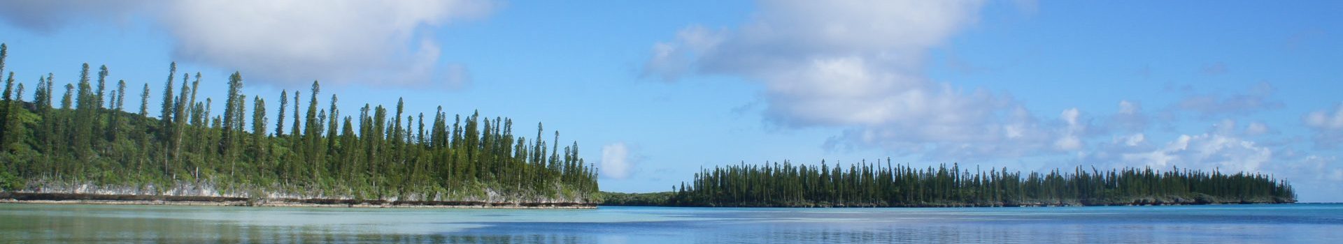 教育系Youtuber のヨビノリさんが遊びに来てくれました！