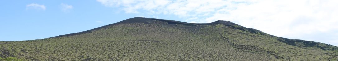 植物再生学研究室