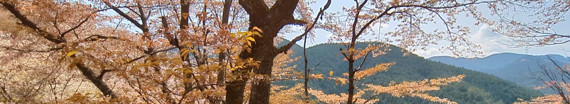 池内特任准教授がEMBO Young Investigator に選出されました！