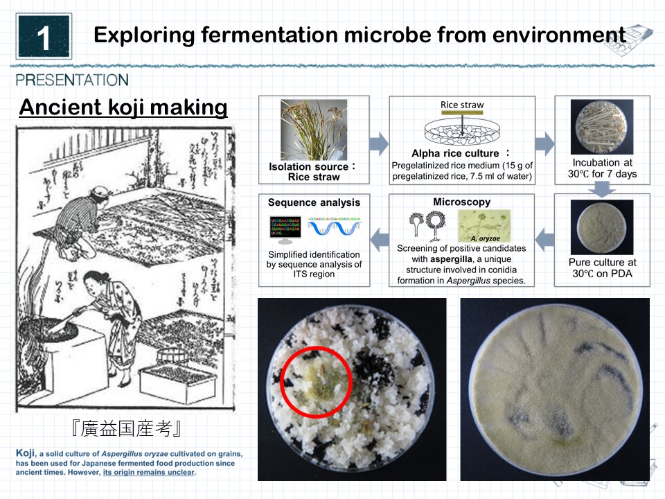 3. Origins of Fermented Foods through Plant Microorganisms – Microbial ...