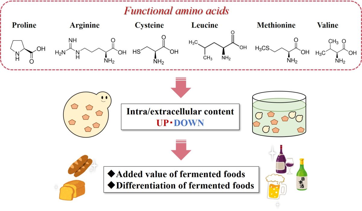 Research 微生物インタラクション研究室