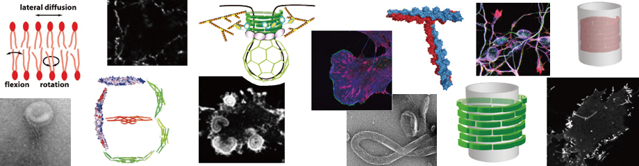 Cellsearch技术原理和系统简介 – 重磅文章丨Nature Reviews：循环肿瘤细胞CTC领域概述 – YBYP