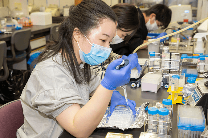 長期インターンシップ図