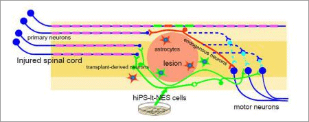 Fig.1