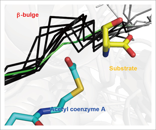 figure1