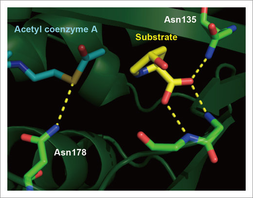 figure2