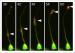 Novel protein transport mechanism for axon outgrowth