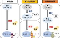 清水清三郎商店株式会社、株式会社Linné、いくひ合同会社 及び奈良先端科学技術大学院大学が日本酒醸造における並行複発酵の新たな意義の探索に関する 共同研究を開始<br />
