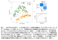 無施肥・無農薬でも高収量！<br />
～イネの根に住む微生物の 4 年にわたる調査、データ解析により、持続可能な稲作の実現に結びつく細菌共生の変化の様子を明らかに～<br />
