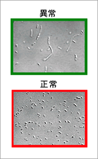 図2