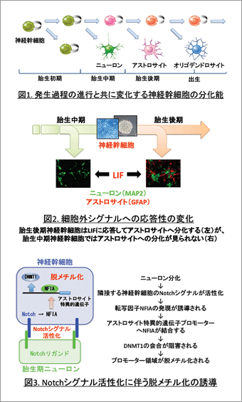 図1