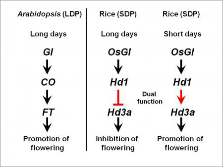 Fig.1