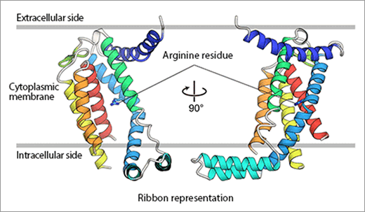 figure1