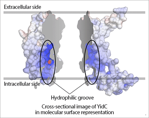 figure2