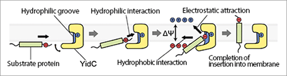figure3
