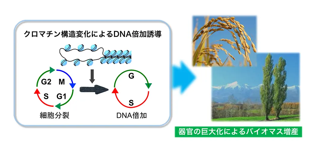 図3