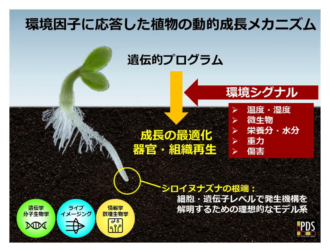 図1