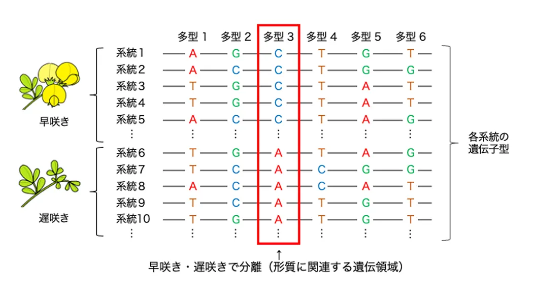 図3