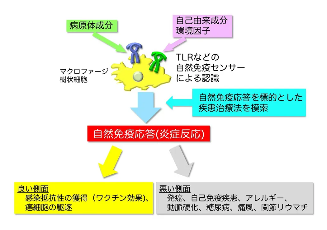図4