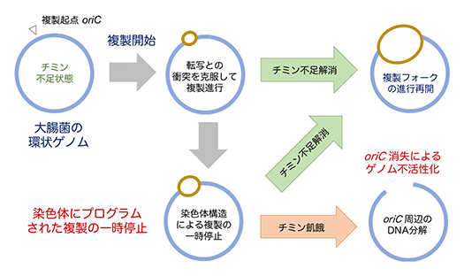 図3