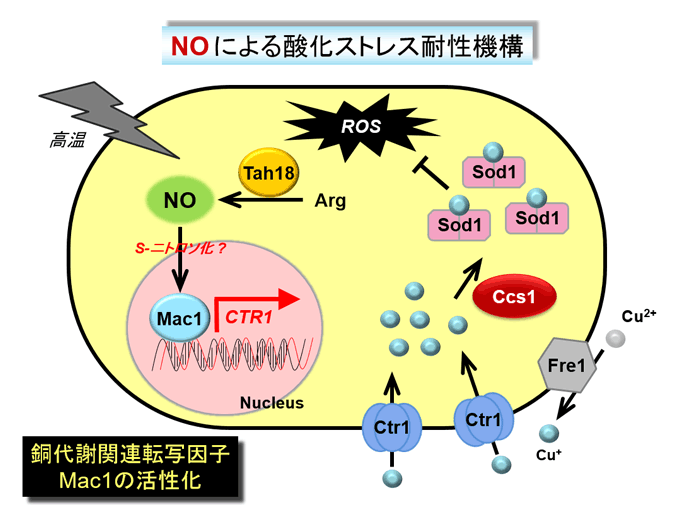 図2