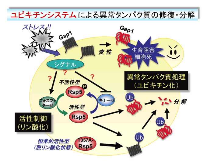 図3