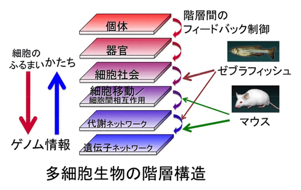 図1