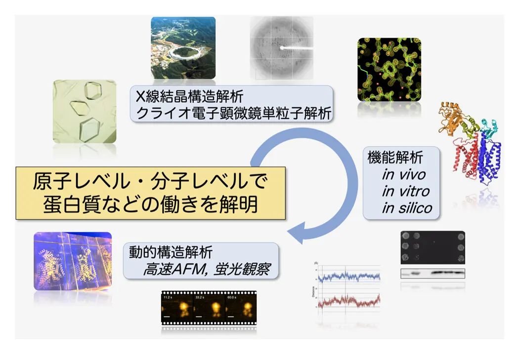 図1