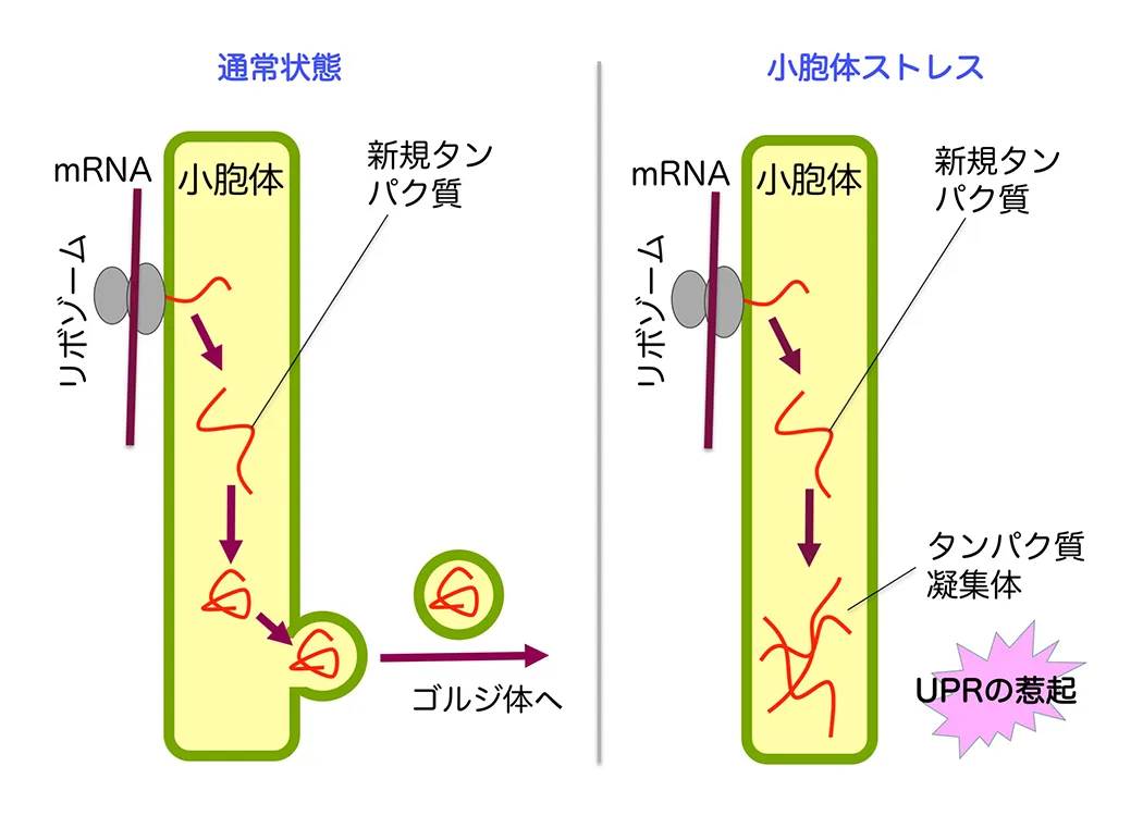 図1
