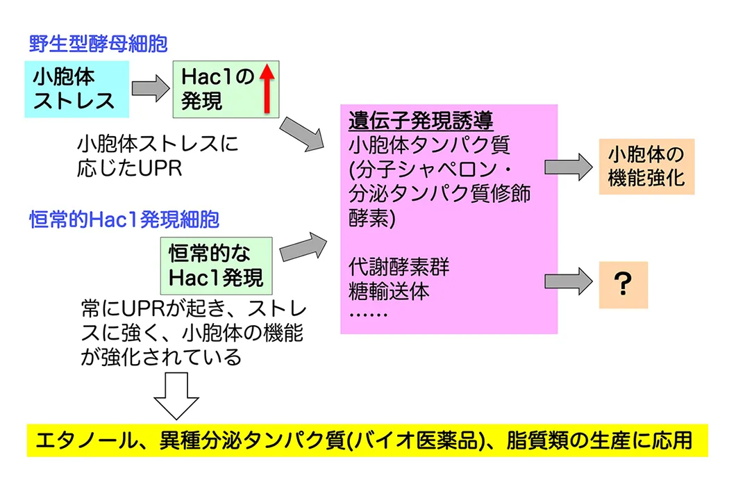 図2