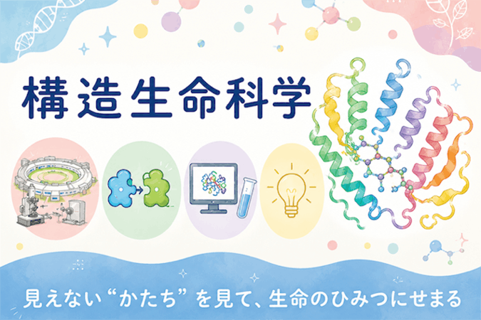 構造生命科学イメージ図
