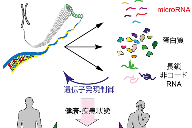 RNA分子医科学イメージ図