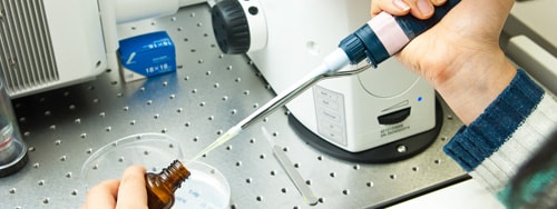Image of Laboratories