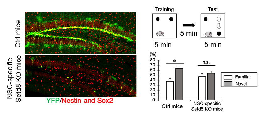 Figure5