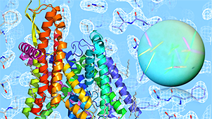Structural Life Science
