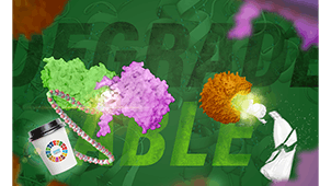 Protein Design and Engineering