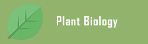Plant Biology