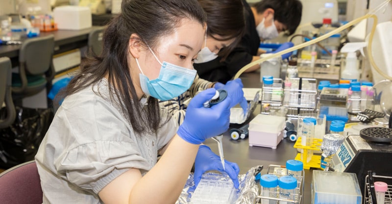 Long Term Internship