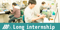 Long term internship
