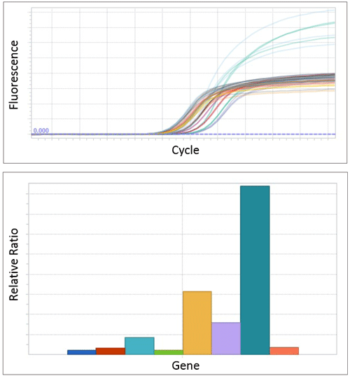 Real-Time PCR System- Data sample