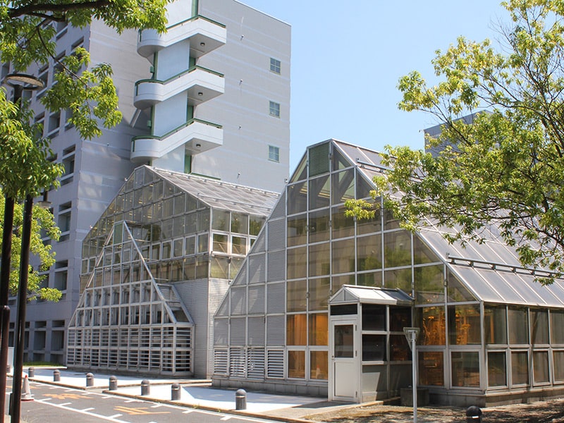 Botanical Greenhouses