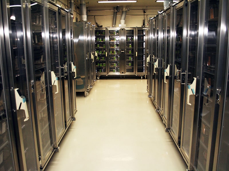 Animal Experimentation Facility