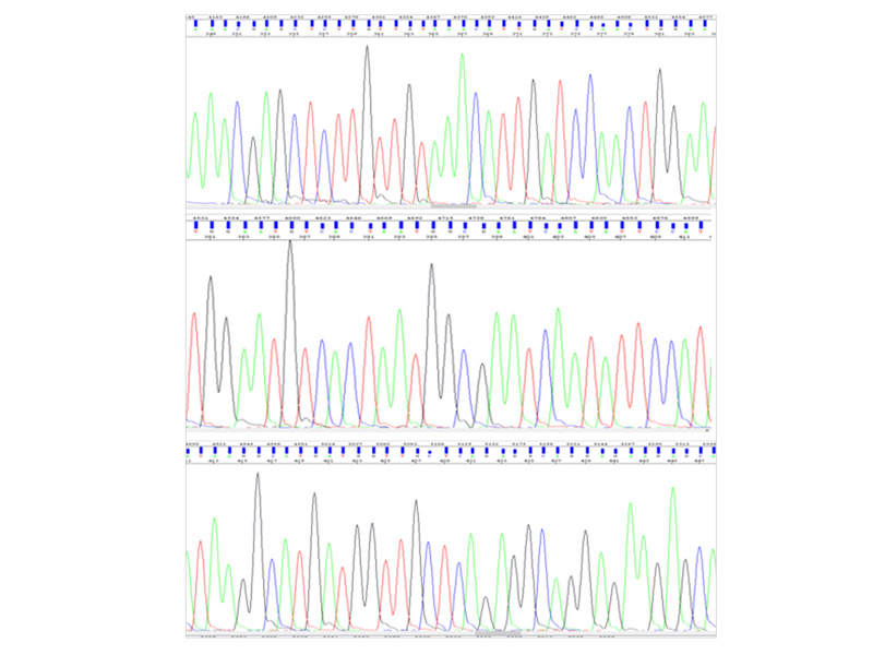 DNA Sequencer - Data sample
