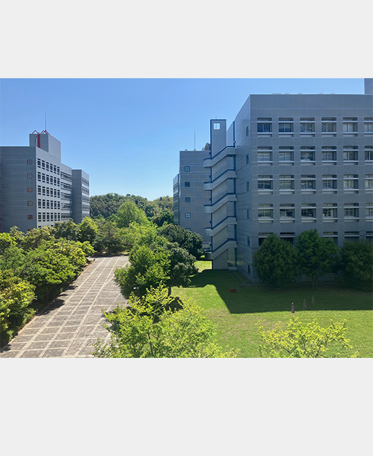栗崎